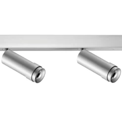 Ribag Vertico downlight de techo 2 luces 3.000K aluminio