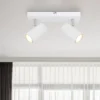 Robby downlight de techo, blanco, longitud 26 cm, 2 luces, metal