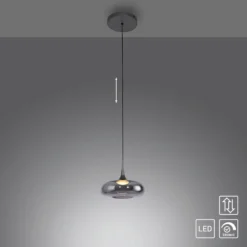 SCHÖNER WOHNEN Lámpara colgante LED Posh 1 luz, cristal ahumado, 3000 K