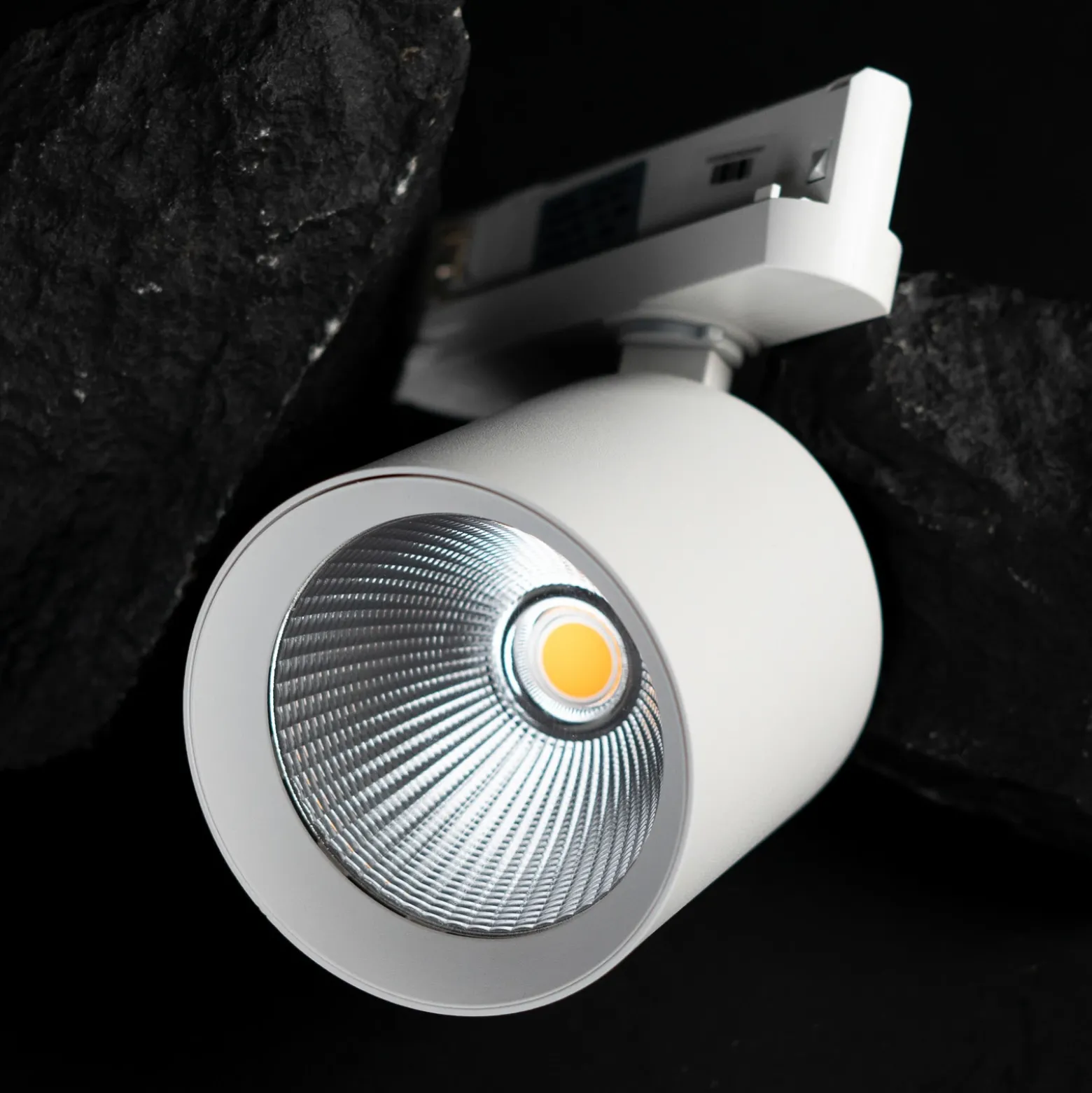 SLC foco de riel LED Fox, blanco, 3.000 K, riel trifásico