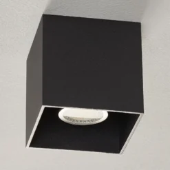 WEVER & DUCRÉ Box 1.0 PAR16 lámpara de techo negro