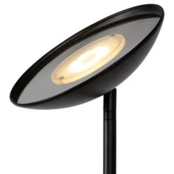 Zenith Lámpara LED de pie con lámpara de lectura LED, negro
